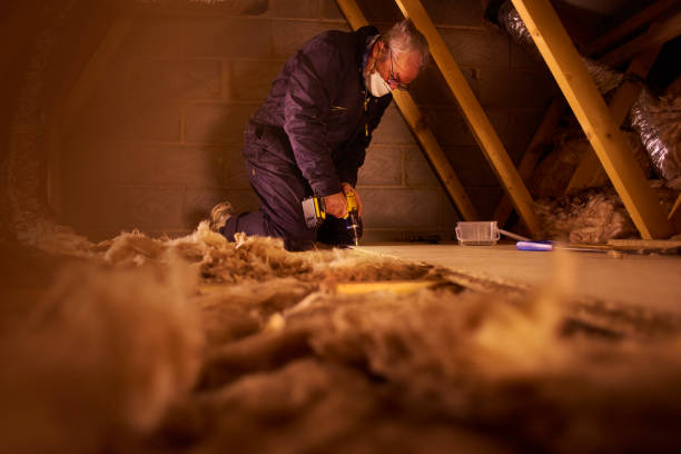 Best Eco-Friendly Insulation in Haltom City, TX